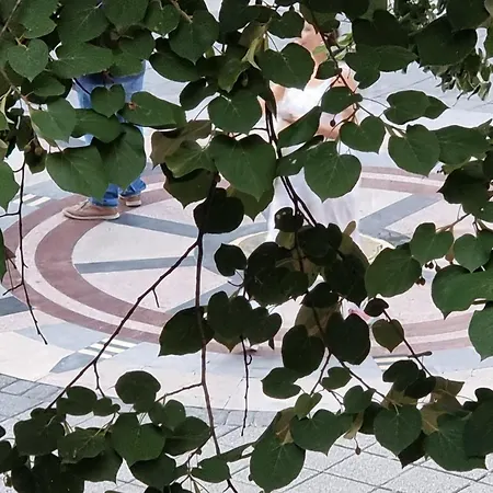 Daire Alexandrovska - Super Centar Luxury Burgaz