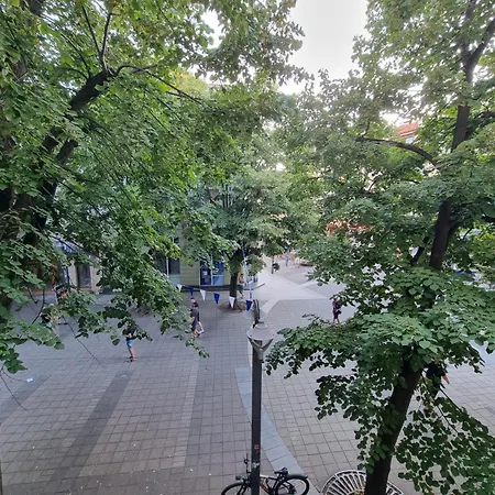 Daire Alexandrovska - Super Centar Luxury