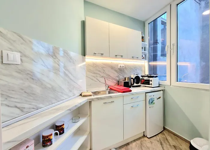 公寓 Alexandrovska - Super Centar Luxury *