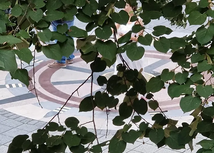 شقة Alexandrovska - Super Centar Luxury بورغاس